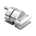 Stainless Steel Glass-to-Glass Pool Fence Gate Latch